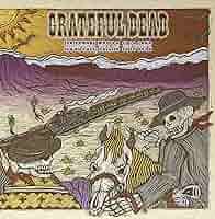 11/18/72 Hofheinz Pavilion Houston Tx (Vinyl): Grateful Dead